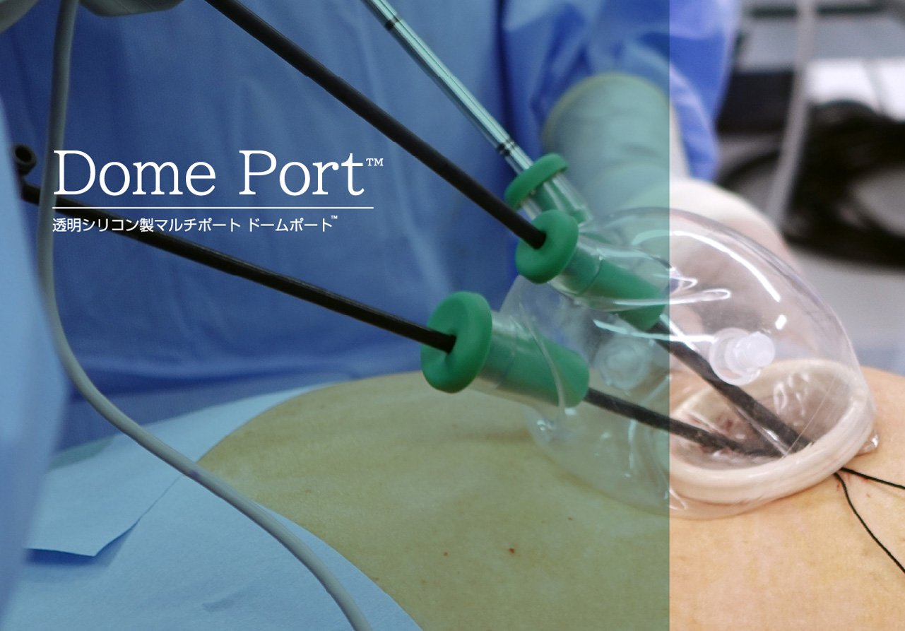 Dome Port™